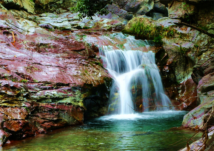 池州市石台县富硒茶（安徽省石台县富硒茶）-硒宝网