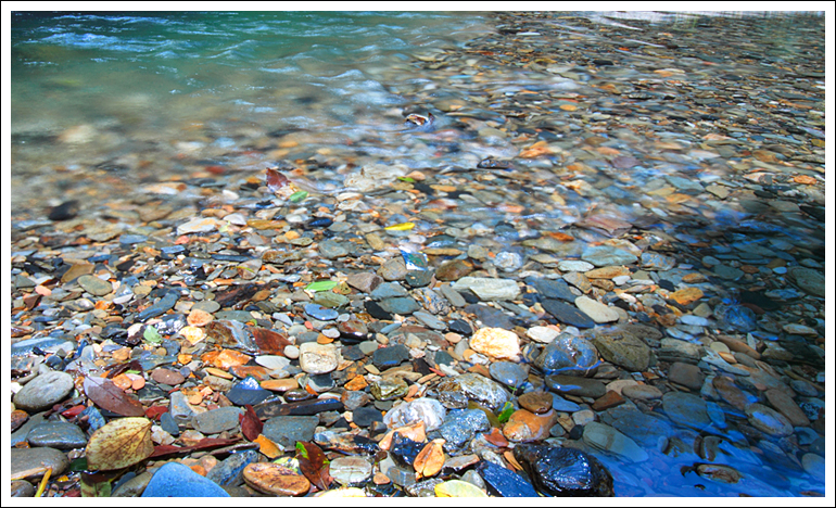 池州市石台县富硒茶（安徽省石台县富硒茶）-硒宝网