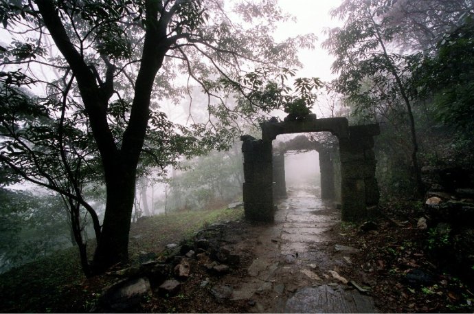 池州市石台县富硒茶（安徽省石台县富硒茶）-硒宝网