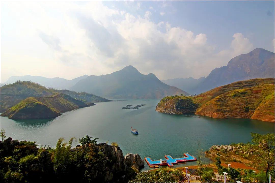 六枝特区郎岱富硒茶(贵州六枝郎岱移动公司)-硒宝网