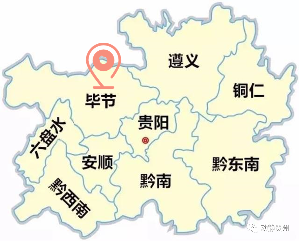 六枝特区郎岱富硒茶(贵州六枝郎岱移动公司)-硒宝网