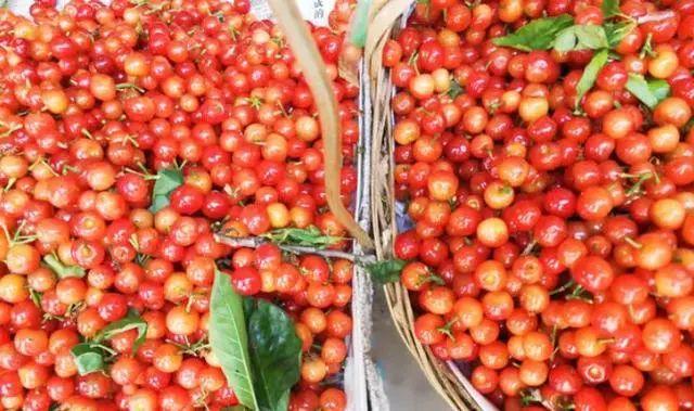 六枝特区郎岱富硒茶(贵州六枝郎岱移动公司)-硒宝网