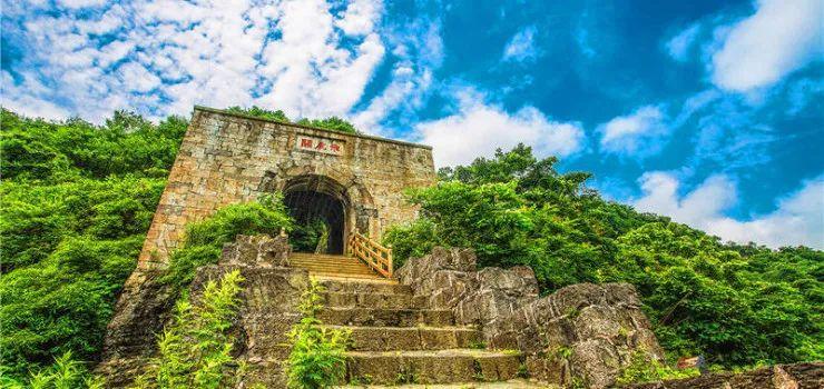 六枝特区郎岱富硒茶(贵州六枝郎岱移动公司)-硒宝网