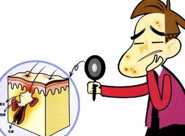 微量元素有哪些食物(微量食物元素有多少种)-硒宝网