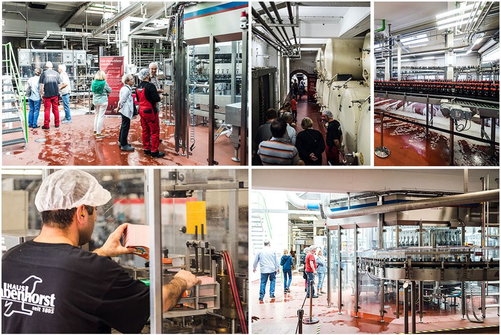 德国小红脸补铁怎么样(小红脸补铁剂)-硒宝网