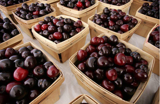 德国小红脸补铁怎么样(小红脸补铁剂)-硒宝网