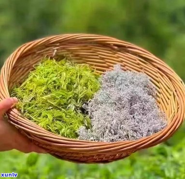 四川富硒藤茶生产商(富硒藤茶多少钱一斤)-硒宝网