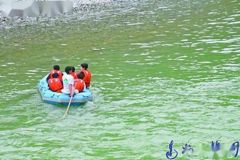 四川万源富硒茶啤酒(富硒茶啤酒代理哪家好)-硒宝网