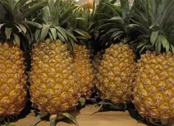 富硒八仙茶的保质期(八仙茶保质期多久)-硒宝网