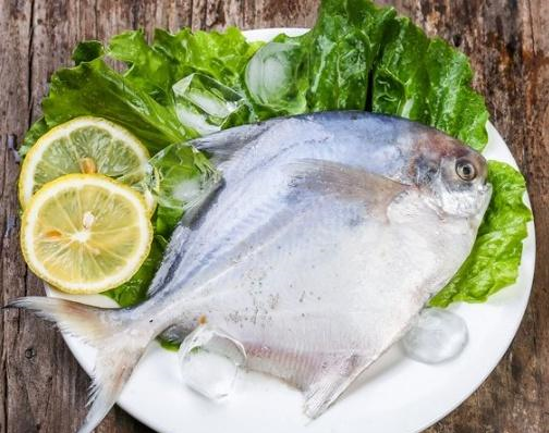 吃什么鱼补钙（哪种鱼补钙）-硒宝网