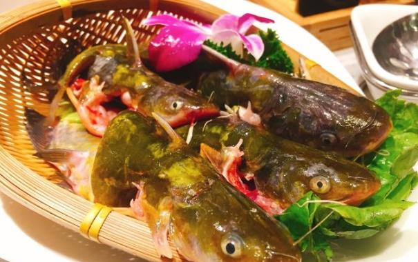 吃什么鱼补钙（哪种鱼补钙）-硒宝网