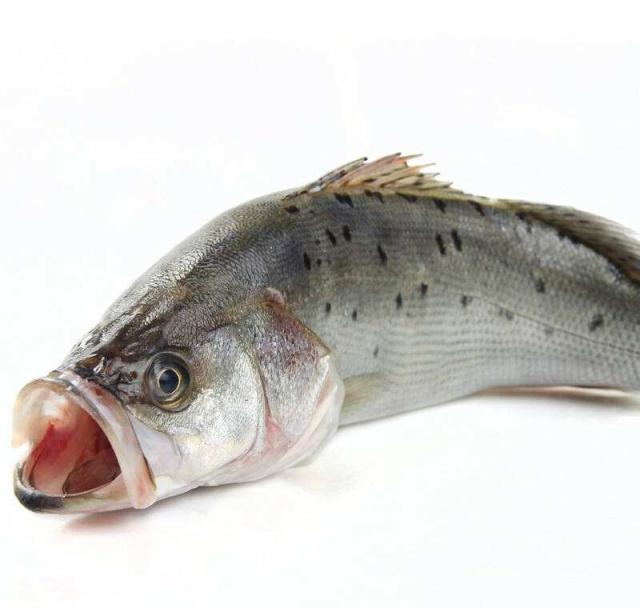 吃什么鱼补钙（哪种鱼补钙）-硒宝网