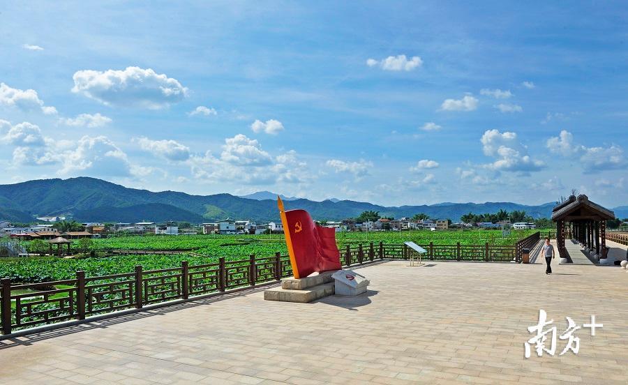 富硒大米可以泡茶吗(富硒大米煮饭好吃还是煮粥好吃)-硒宝网