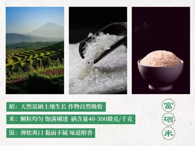 于都富硒大米的优点(于都富硒大米)-硒宝网