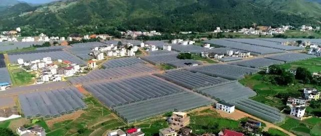 于都富硒大米的优点(于都富硒大米)-硒宝网