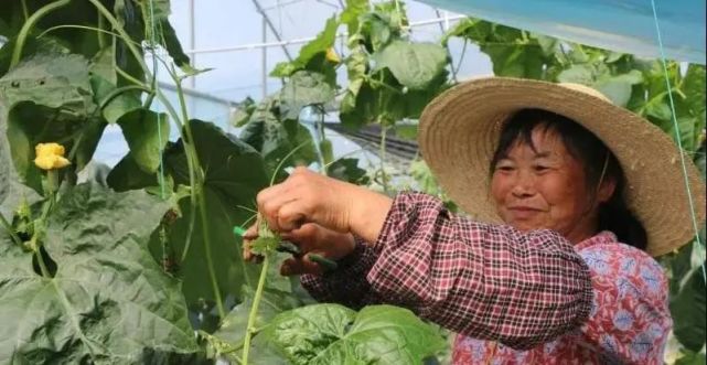 于都富硒大米的优点(于都富硒大米)-硒宝网