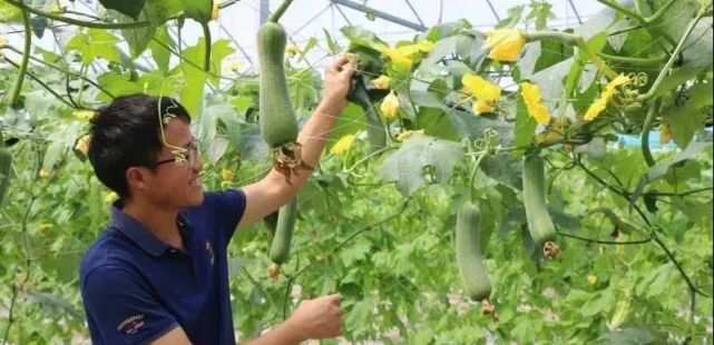 于都富硒大米的优点(于都富硒大米)-硒宝网