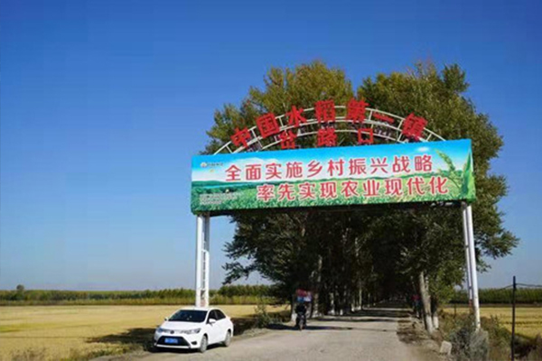 天津哪里有富硒大米(富硒大米哪里有卖)-硒宝网