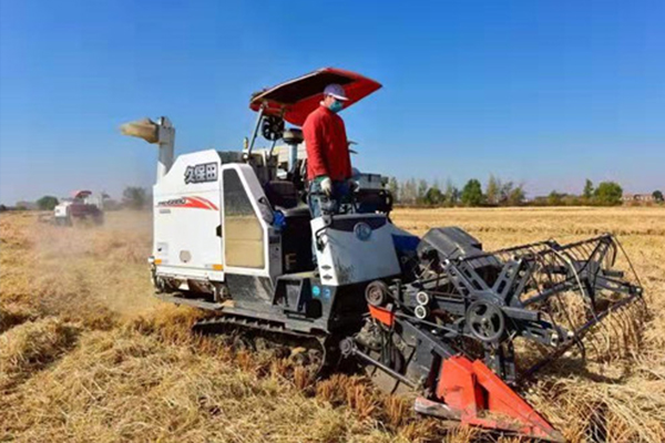 天津哪里有富硒大米(富硒大米哪里有卖)-硒宝网