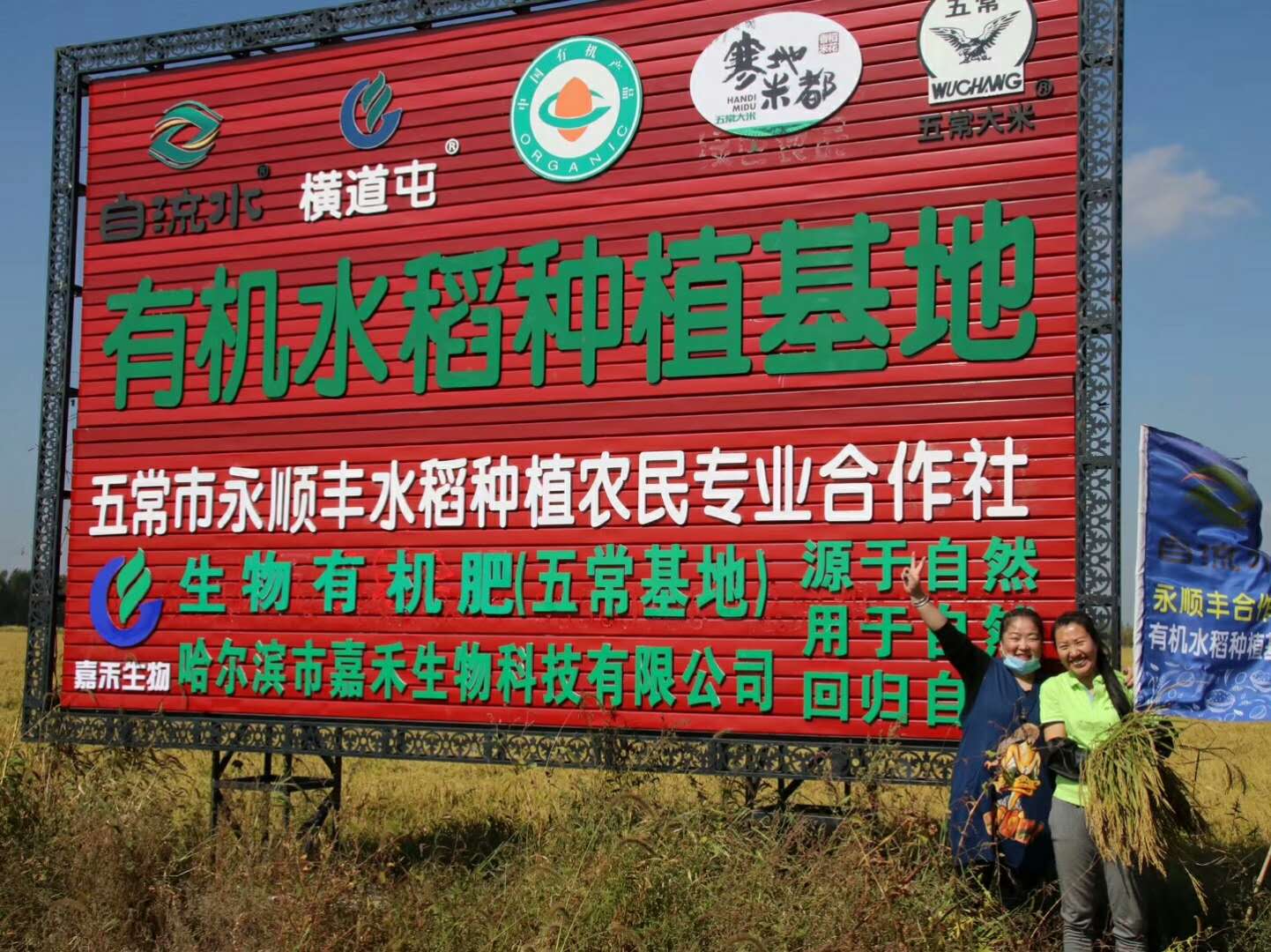 有机富硒稻花香大米(富硒稻花香5公斤多少一箱)-硒宝网