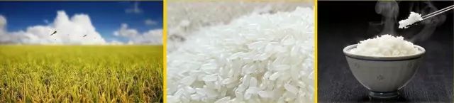 富硒大米吃了好吗吗(富硒大米能补硒吗)-硒宝网