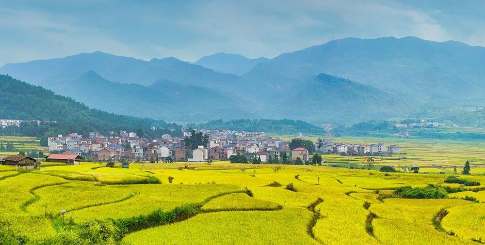 高滩富硒大米怎么样(富硒大米中富含的营养物质)-硒宝网