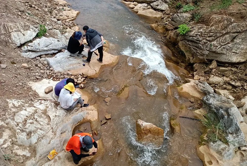 高滩富硒大米怎么样(富硒大米中富含的营养物质)-硒宝网
