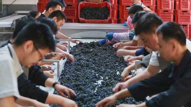 青铜峡富硒大米价格(青铜峡米业)-硒宝网