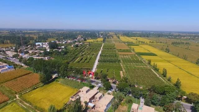 青铜峡富硒大米价格(青铜峡米业)-硒宝网