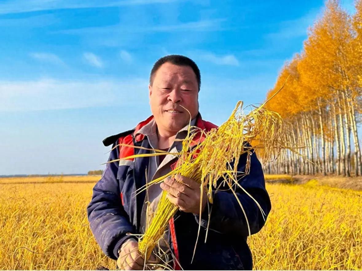 富硒大米 东北大米（东北富硒大米的营养价值和功效）-硒宝网