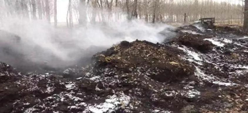 富硒大米 东北大米（东北富硒大米的营养价值和功效）-硒宝网