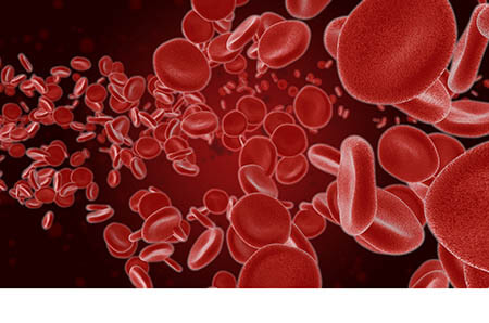 孕晚期补铁吃什么药（孕晚期吃补铁的药）-硒宝网