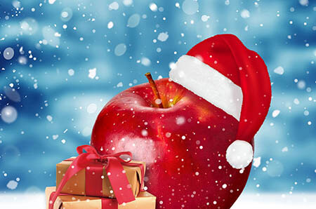 孕晚期补铁吃什么药（孕晚期吃补铁的药）-硒宝网