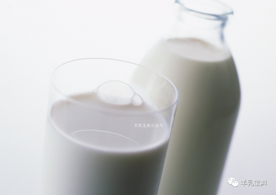 羊奶可以补钙吗(喝羊奶粉可以补钙吗)-硒宝网