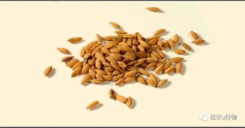 富硒大米 东北大米(大米东北富硒含量高吗)-硒宝网