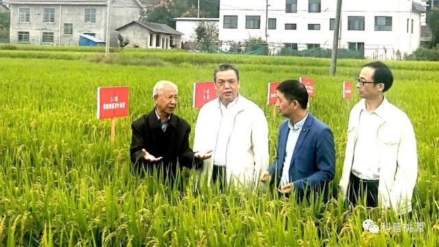 富硒锌硒钙大米种子(大米钙锌种子富硒硒含量多少)-硒宝网