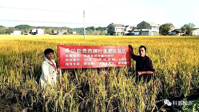 富硒锌硒钙大米种子(大米钙锌种子富硒硒含量多少)-硒宝网