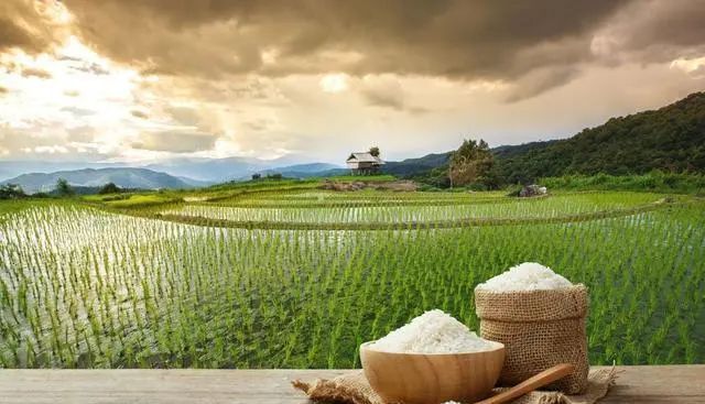 富硒大米的硒是元素（富硒大米硒含量）-硒宝网