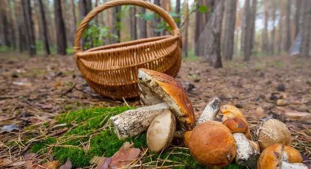 富硒大米的硒是元素（富硒大米硒含量）-硒宝网