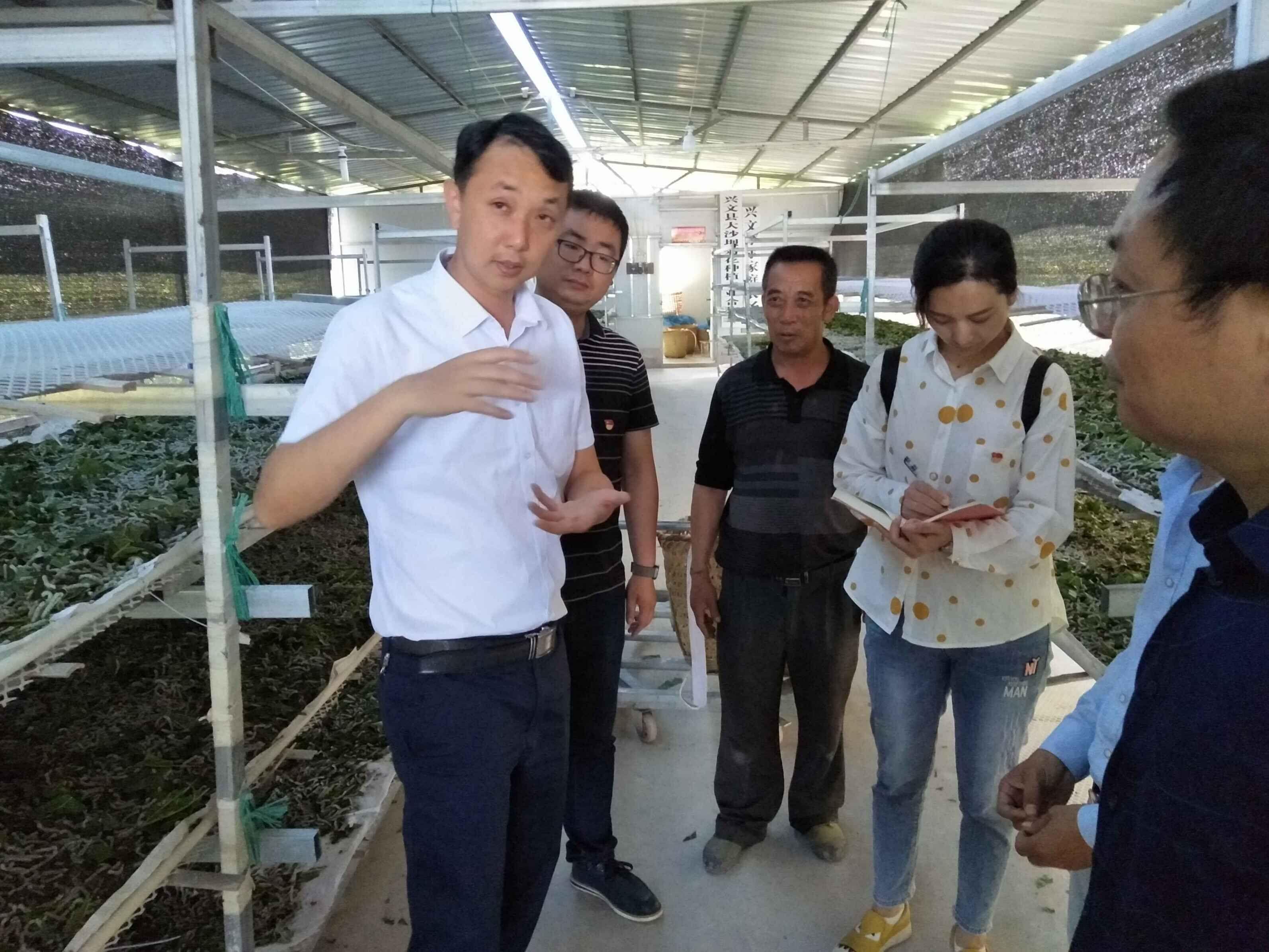 富硒生态园富硒大米（富硒大米原产地在哪里）-硒宝网