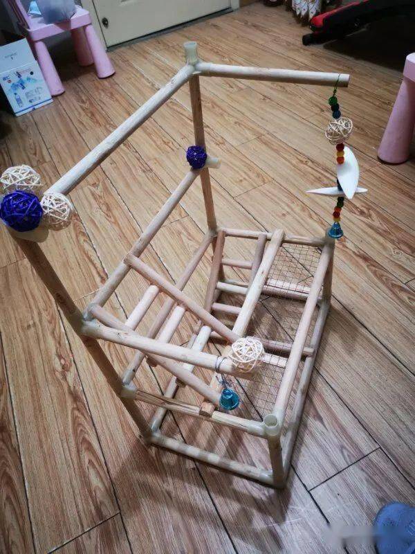 鹦鹉吃什么补钙（鹦鹉补钙吃什么蔬菜）-硒宝网