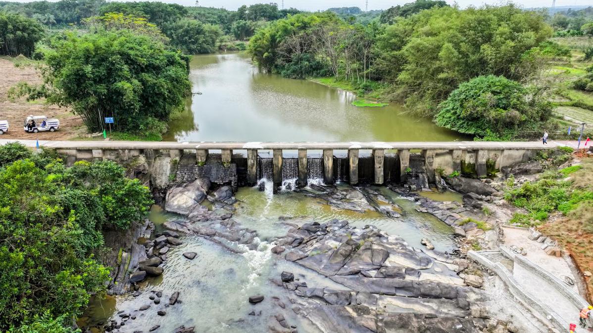定安 富硒大米之乡（万安富硒大米）-硒宝网