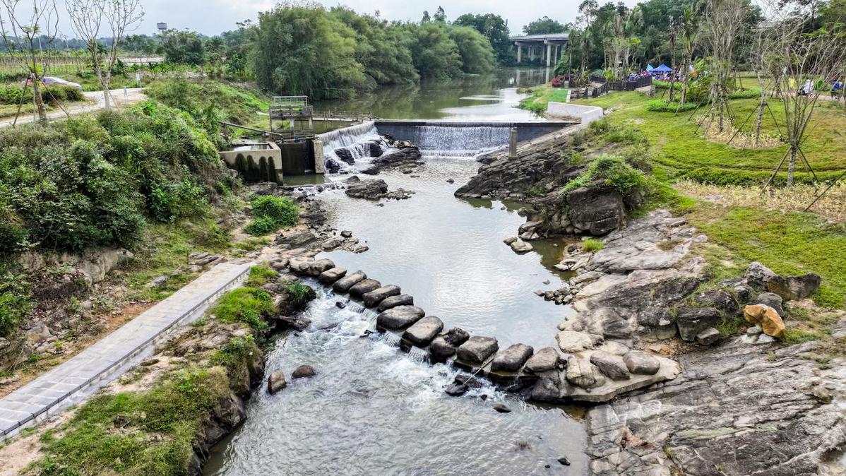 定安 富硒大米之乡（万安富硒大米）-硒宝网