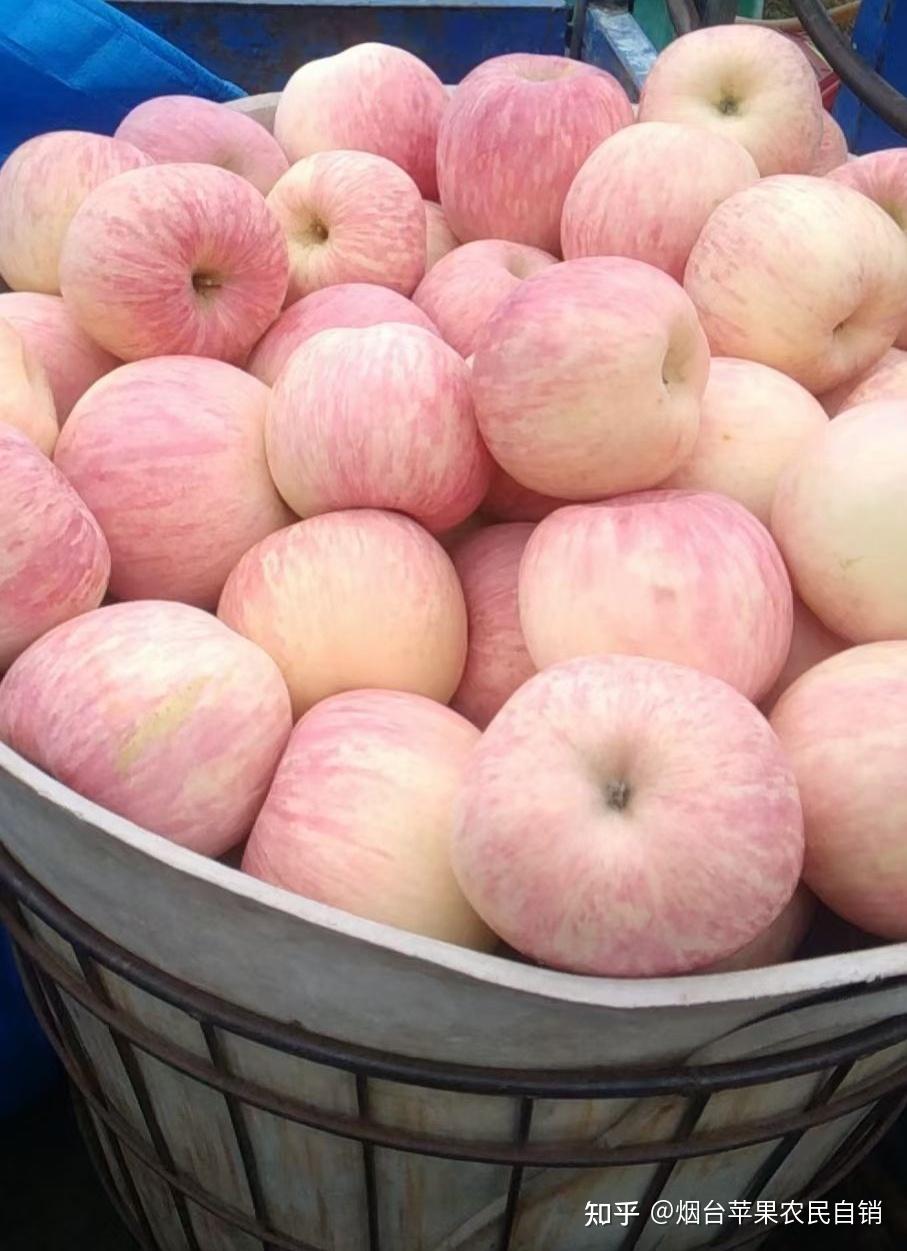 补锌吃什么水果(水果补锌)-硒宝网