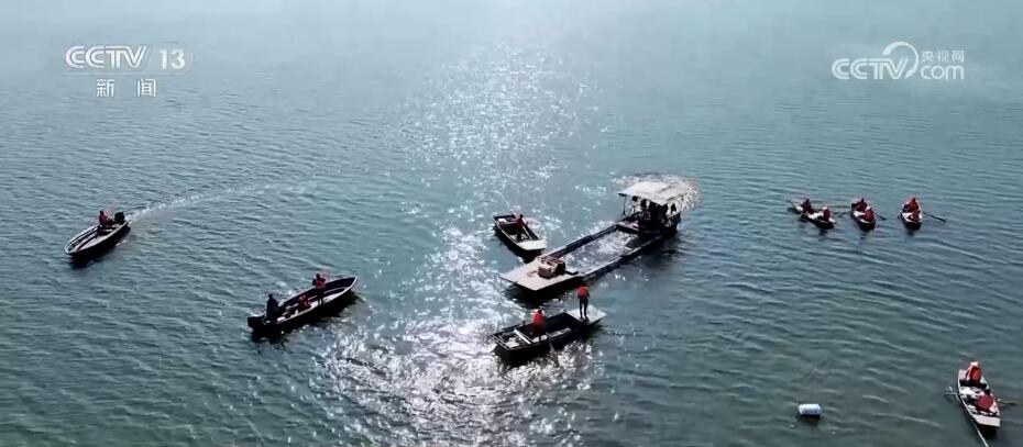 富硒大米香飘丰收节（丰收的大米）-硒宝网