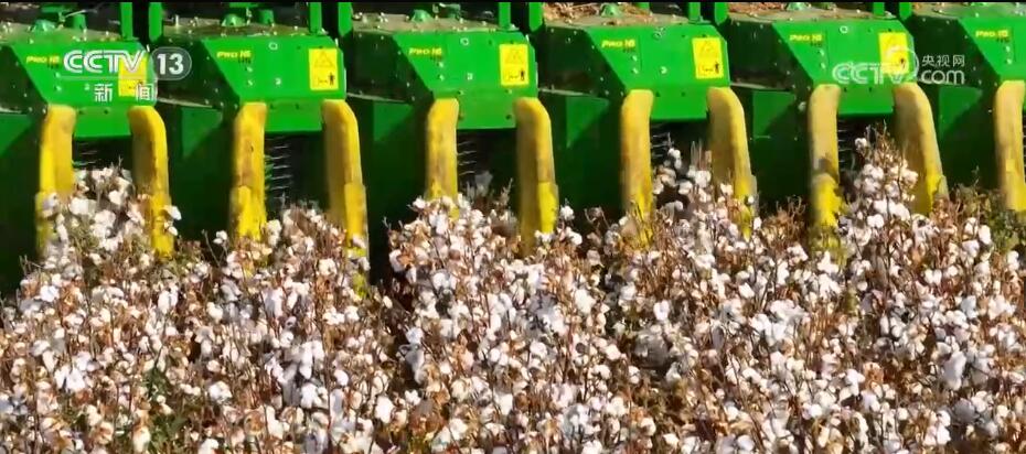 富硒大米香飘丰收节（丰收的大米）-硒宝网