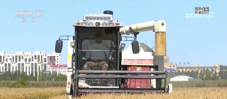 富硒大米香飘丰收节（丰收的大米）-硒宝网