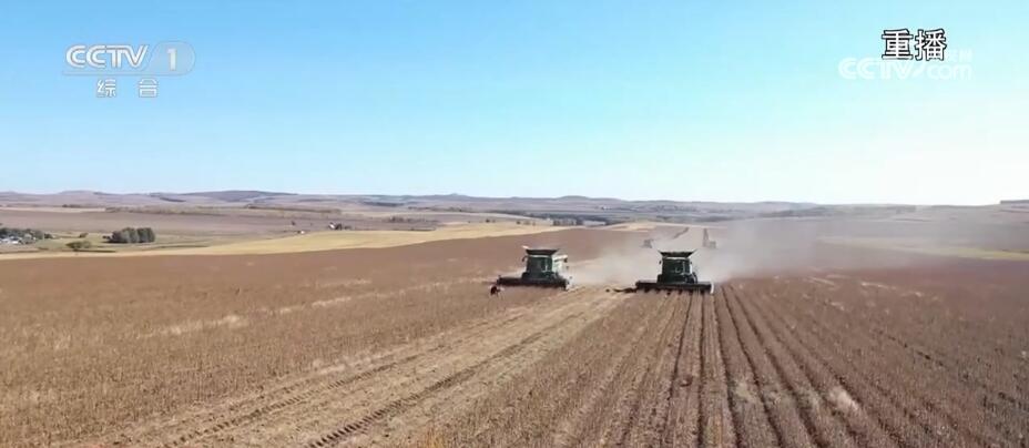 富硒大米香飘丰收节（丰收的大米）-硒宝网