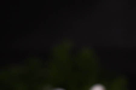 补锌吃什么水果(吃水果补锌吗)-硒宝网