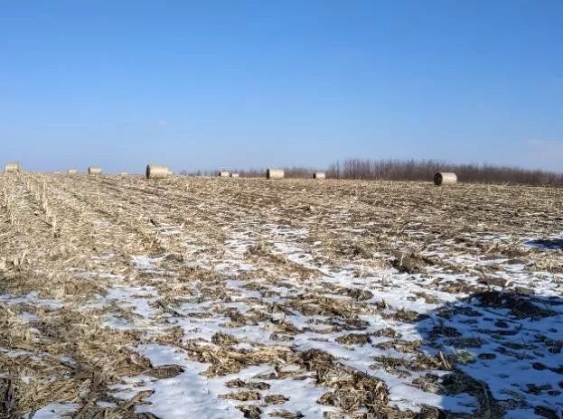 海伦富硒大米怎么卖（海伦富硒米多少钱一斤）-硒宝网